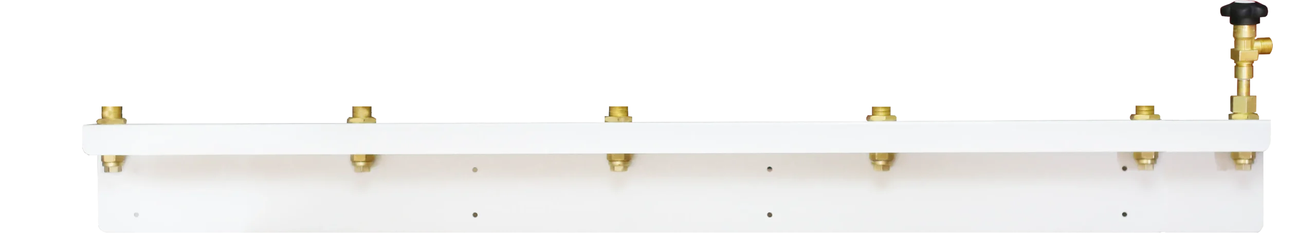 VANASIZ-2